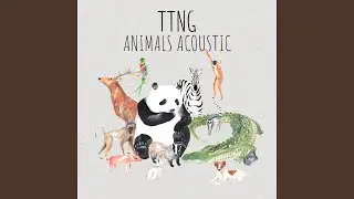 Crocodile (Acoustic)