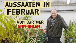 Aussaat im Februar (trotz K&auml;lte): Profi-G&auml;rtner zeigt, was du jetzt s&auml;en kannst &ndash; neuer Aussaatraum