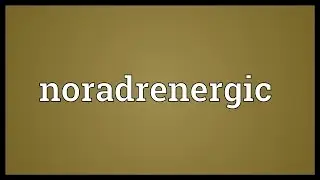 Noradrenergic Meaning