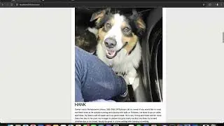 Pet Pedia - Kahlert School of Computing