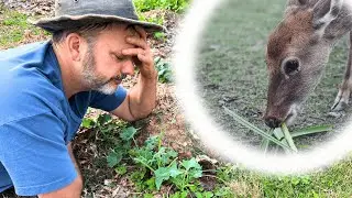 Возвращение в норму: извлеките уроки из неудач в саду!