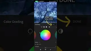 Tutorial on How to Edit Infrared Photos on a Cellphone (Lightroom mobile)