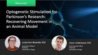 Optogenetic Stimulation for Parkinson&rsquo;s Research: Recovering Movement in an Animal Model