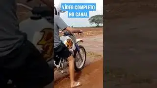 DT 180 FORTE DE MAIS