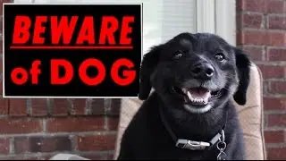 BEWARE OF DOG