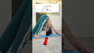 Hair Yoga Exercises For Hair Growth ?🧘&zwj;♂️ #yoga #hairgrowth #shorts #exercise #hairfall #stretching