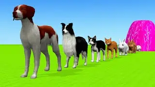 Paint Animals Dog, Cat, Rabbit, Rat, Cow, Sheep Fountain Crossing Transformation Animal Cartoon