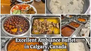 South Asian Buffet in Calgary Hotel | XS Lounge and Grill, Calgary, Canada | Excellent Ambiance