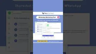 Capture Leads on WhatsApp - Marketing Automation - WhatsApp Bulk Message Sender