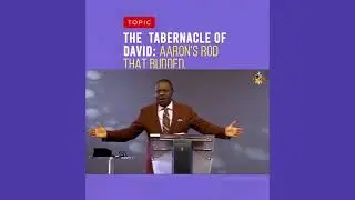 The Tabernacle of David: Aaron's Rod that Budded.