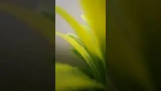 #قناة_الكل #السيدة_رزقي 