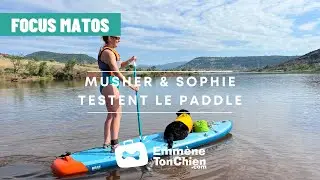 FOCUS MATOS - Musher et Sophie testent le canipaddle