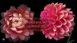 PART132 Soul-Aligned Subliminal for Dissolving Fear-Based and Wound-Based Subliminals effects