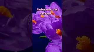 #onthisday #любовь #love #lov#любовьмужчины #любимая #цитатыпрожизнь #счастье