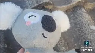 O Cão foi atrás do coala mofli 2 o filme Portugal