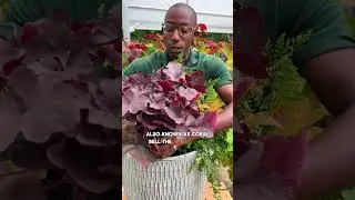 Fall Foliage Container Garden 🍂
