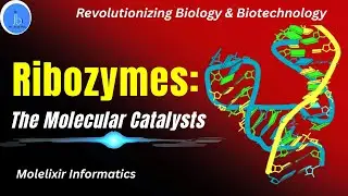 Ribozyme: The Molecular Catalysts Revolutionizing Biology and Biotech #Ribozyme #biotechnology