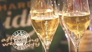大阪/本町 イタリアン Cafe&Bar ZeLKOVA（ゼルコヴァ）