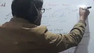 Cell Membrane: Structure, Composition & Functions | Grade 11 Biology (FBISE). Unit 1