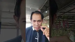 Cair bansos tahap  2 tahun 2024 #bansospkh #cairbansos #pkh