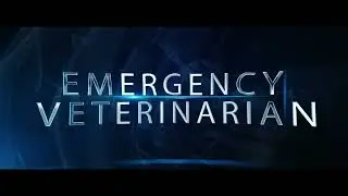 We're Hiring Emergency Veterinarians