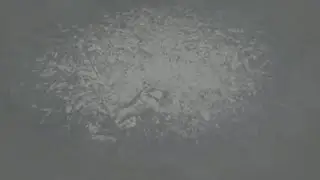 Red Dead online Launch glitch