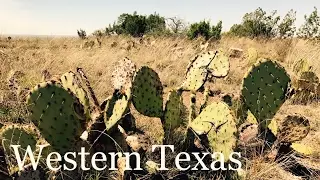 Big Spring State Park, Texas