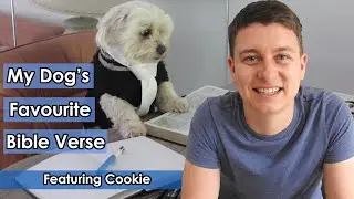 My Dog's Favorite Bible Verse | Even The Dogs Eat The Crumbs... | Featuring: Cookie The Dog! 🐶😂