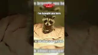 cute animal memes 🤣