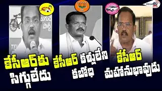 Motkupalli Narasimhulu Comments on CM KCR | TRS | TDP | BJP  | MEGA TV HD