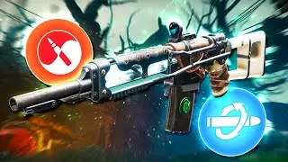 The Best Auto I've Ever Used In Destiny 2 (5/5 Gnawing Hunger)