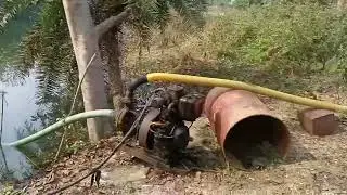 Village water pump irrigating water in potato farm #farming #DVC canal