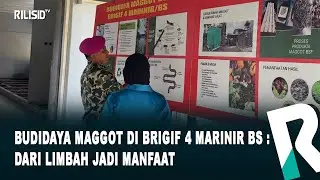 Budidaya Maggot di Brigif 4 Marinir BS : dari Limbah jadi Manfaat