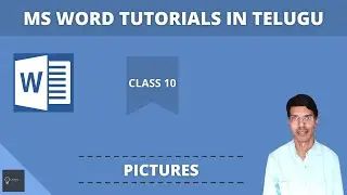 MS Word In Telugu || How To Insert Pictures In Word 2016 || Word 2016 Tutorials || Part 10