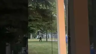 Backwards Running Girl Bumps into Tree || ViralHog