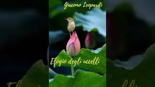 Elogio degli uccelli. Dalle 