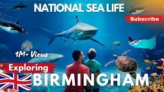 SEA LIFE CENTRE BIRMINGHAM FULL TOUR March 2024