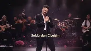 Şaban Gedik - Soldurdun Çiçeğimi