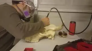 Carving a Texas Steer Skull