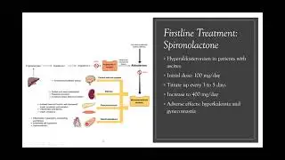 Ascites Management