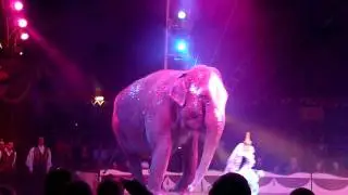 Circus Renz act met olifant