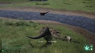 The low tier king - Juvie Cera vs Dilo - The Isle Gameplay