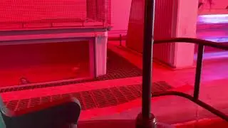 Living with the Land Full Ride POV 2021 | The Land Pavilion, EPCOT