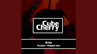 Thrasher (Original Mix)