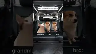 Cat memes😺road trip with family #funnycat#relatable #roadtrip #family