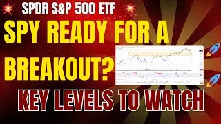 SPY ETF Technical Analysis: Will the U.S. Election Spark a Breakout? | Key Price Levels & Indicators