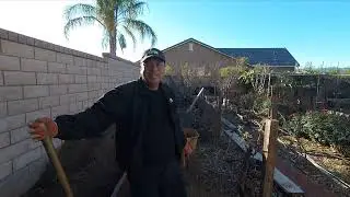 Update for my Garden too SAD, my raise garden are gone forever