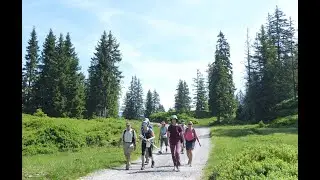 Rundwanderung ab Tannenbodenalp (Flumserberg / SG) / 18.06.25