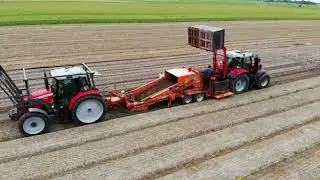 Crocussen rooien met dubbel kistenrek