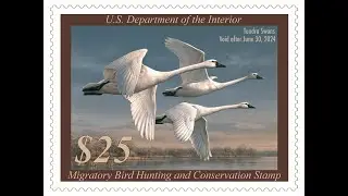 2023 Federal Duck Stamp Art Contest - Day 1